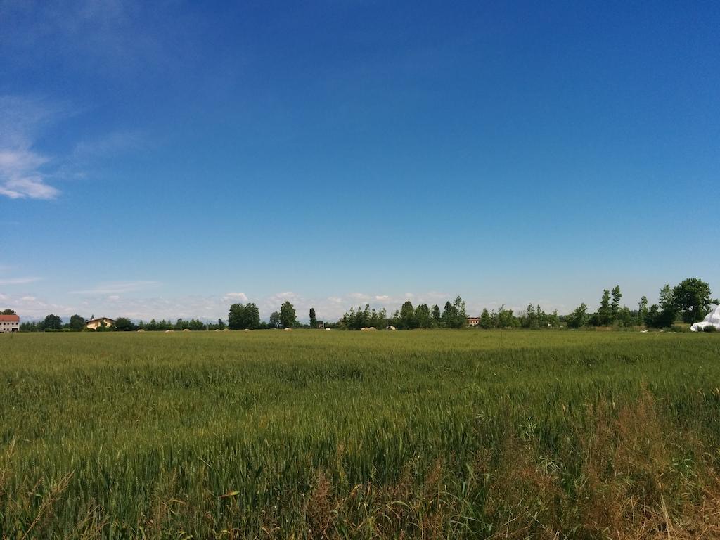 Agriturismo La Chioccia كامبانيا لوبيا المظهر الخارجي الصورة